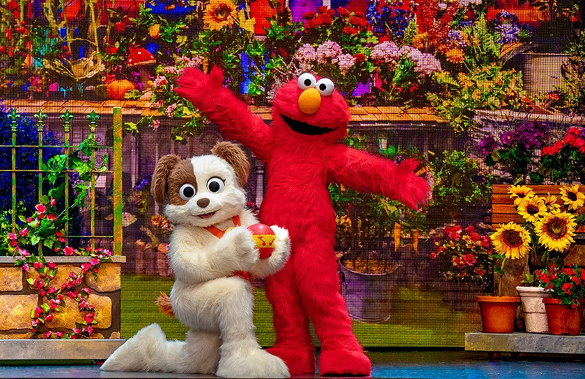 Sesame Street Live